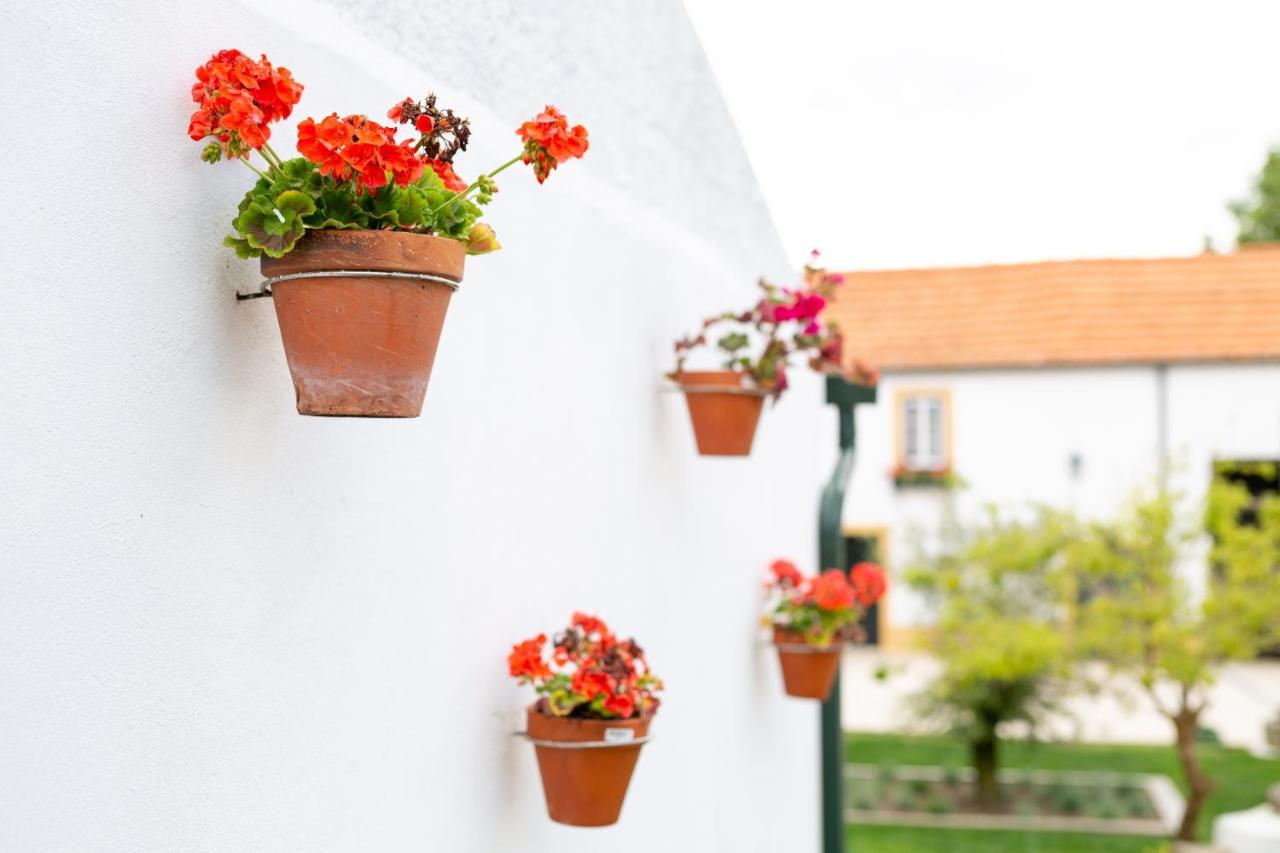 Casa D'Oliveira Bed & Breakfast Aveiro Eksteriør bilde